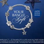 Pandora Jewelry Free Bangle Christmas Gift Image